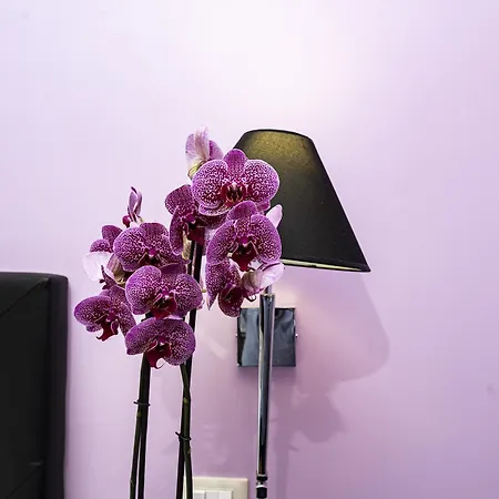 Imperium Navona Πανσιόν