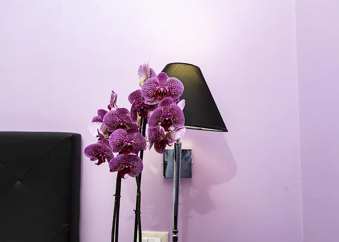 Imperium Navona Vendégház